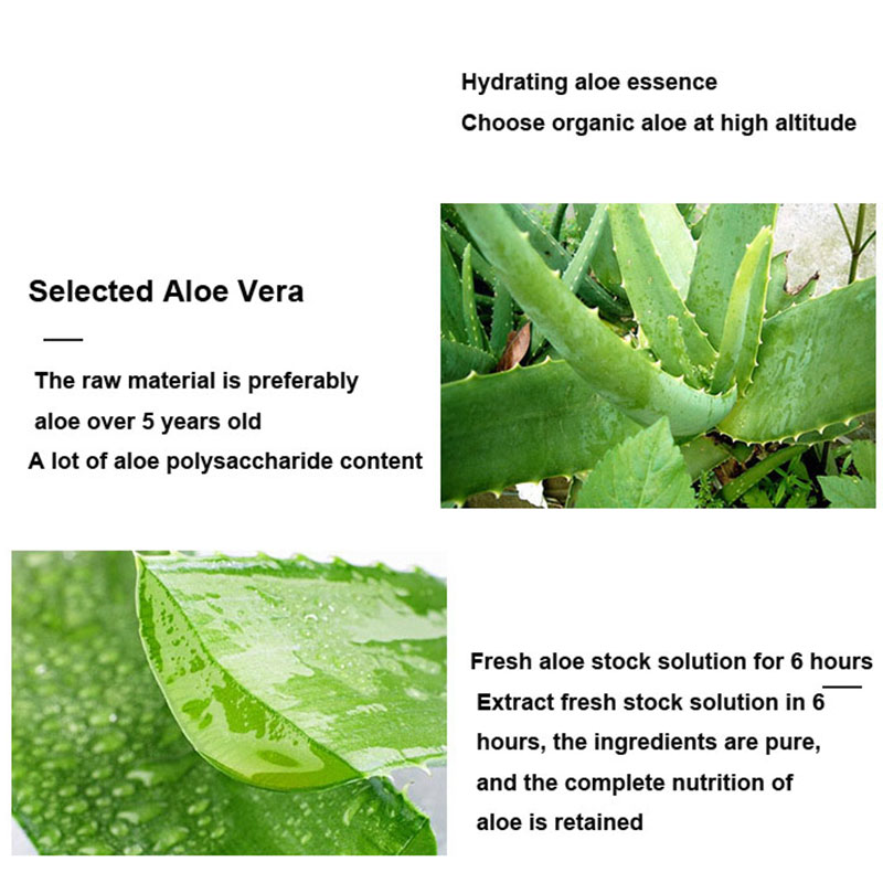 10pcs Aloe Vera Glue Sleeping  – Bentonite Clay Mask recenzja i cena